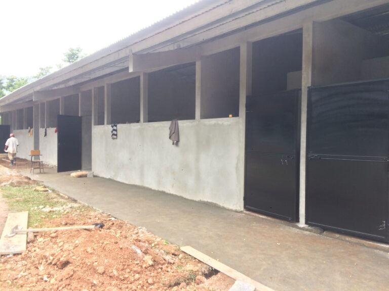 AMPLIACIÓN ESCUELA PRIMARIA