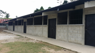 Ampliación escuela primaria