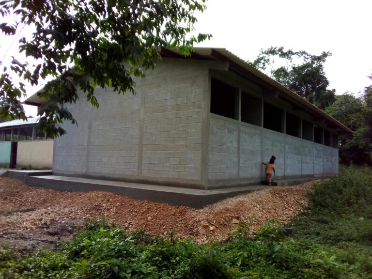 CONSTRUCCIÓN INSTITUTO BÁSICO