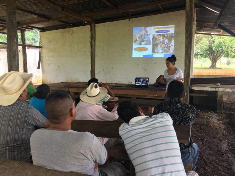 Capacitación a COCODES