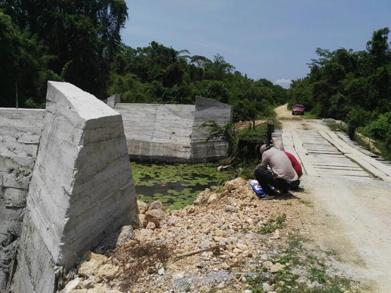 MEJORAMIENTO PUENTE VEHICULAR