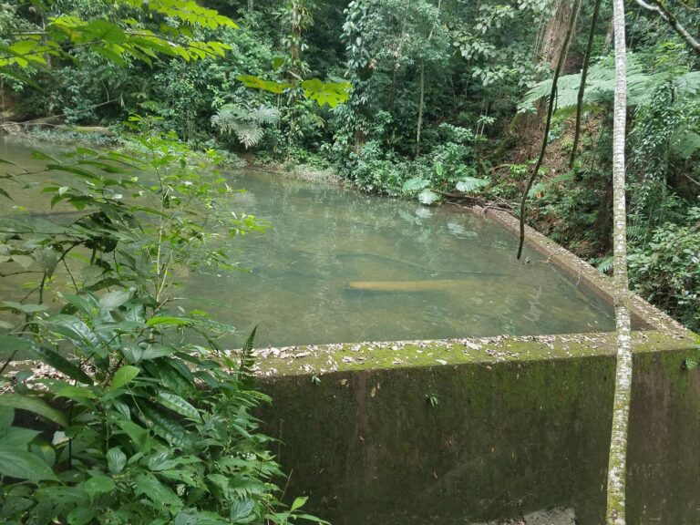 Mejoramiento sistema de agua potable por gravedad